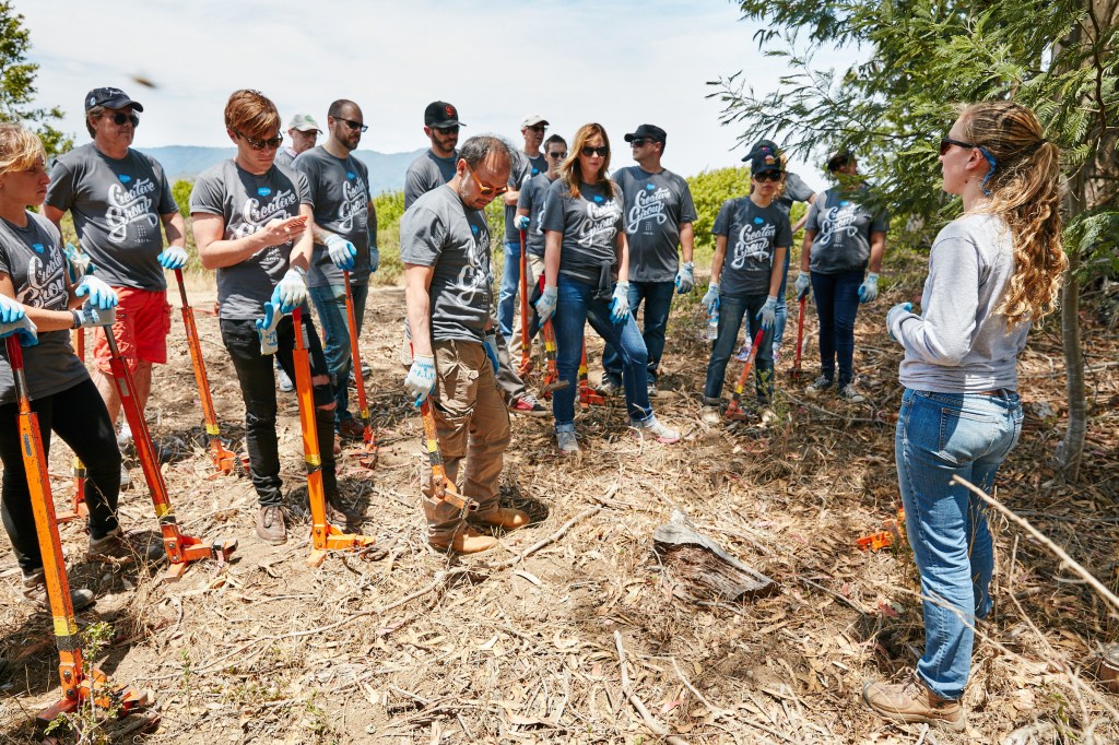 Salesforce employees spent the day volunteering in Marin.