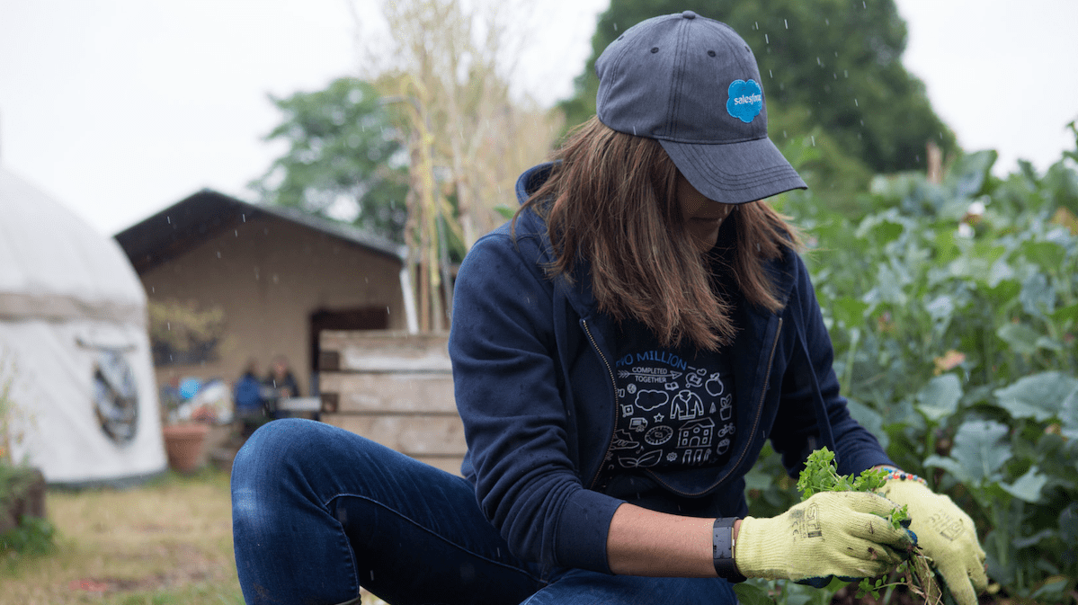 Volunteer planting in a garden