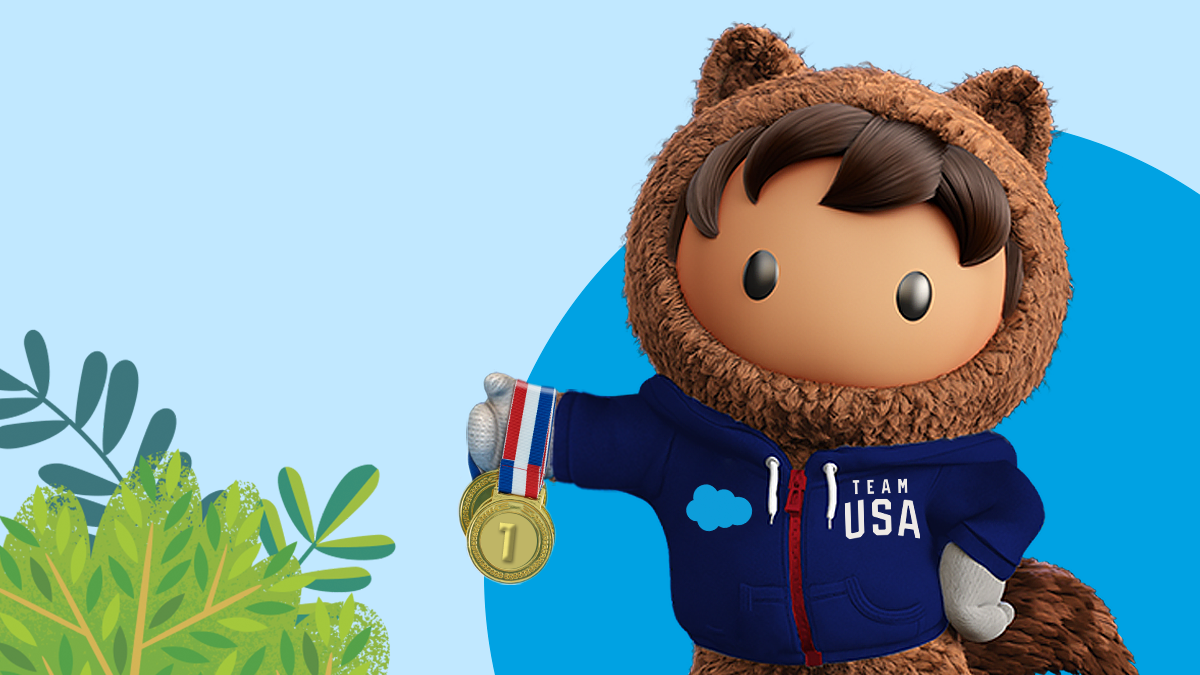 Salesforce Bootcamp 2024 Olympics Perl Trixie