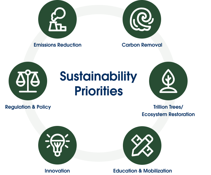 6 icons of sustainability priorities