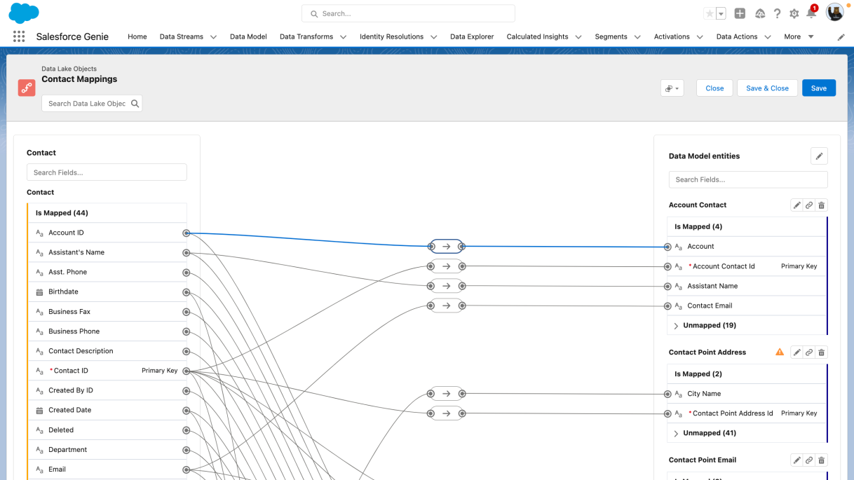 Salesforce Genie: Customer Graph